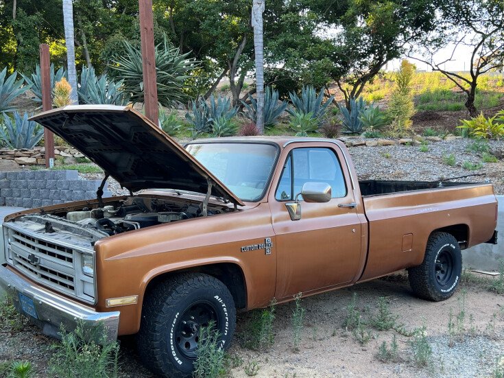 Thumbnail Photo undefined for 1987 Chevrolet C/K Truck 2WD Regular Cab 1500